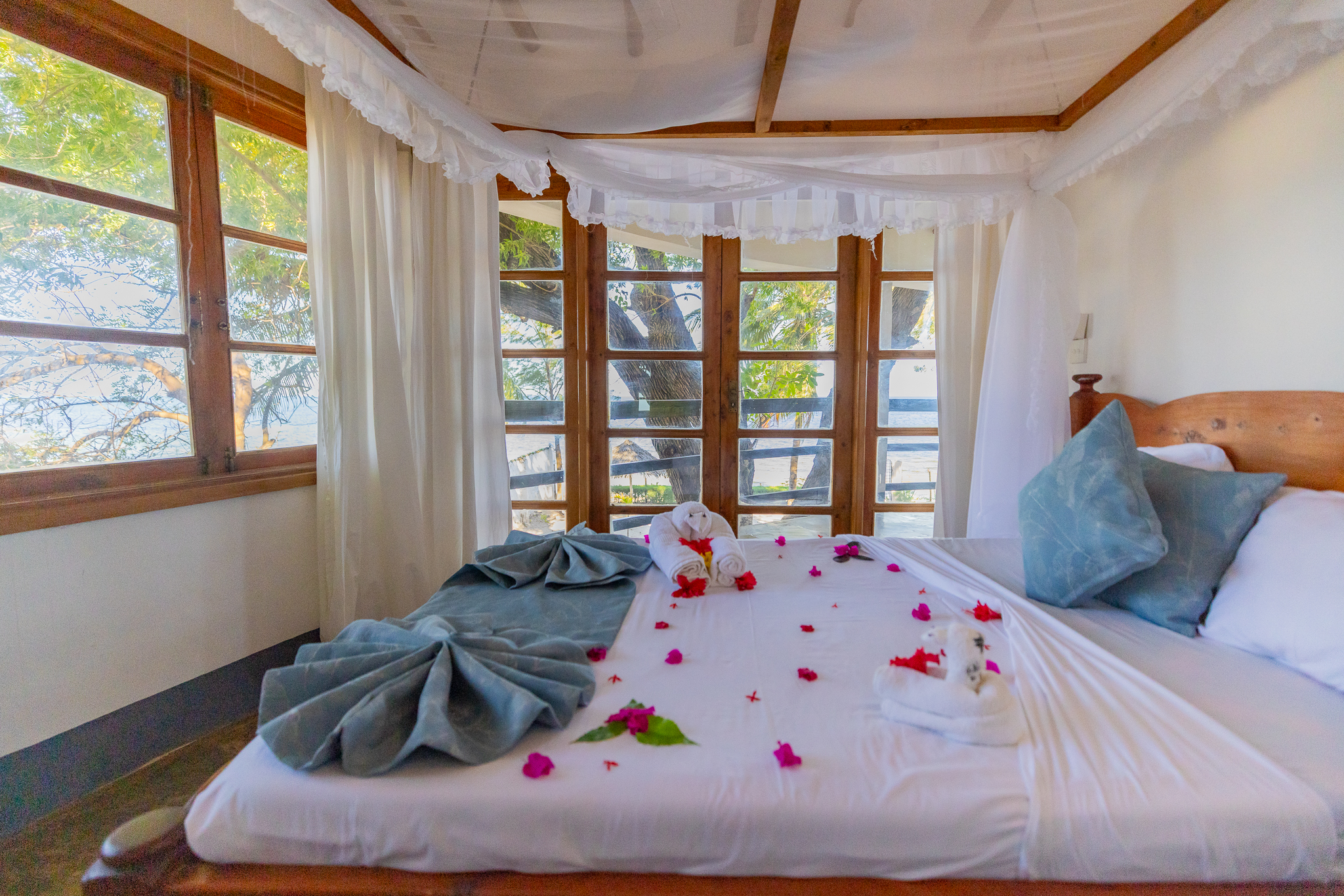 Premier Ocean View Room photo 1
