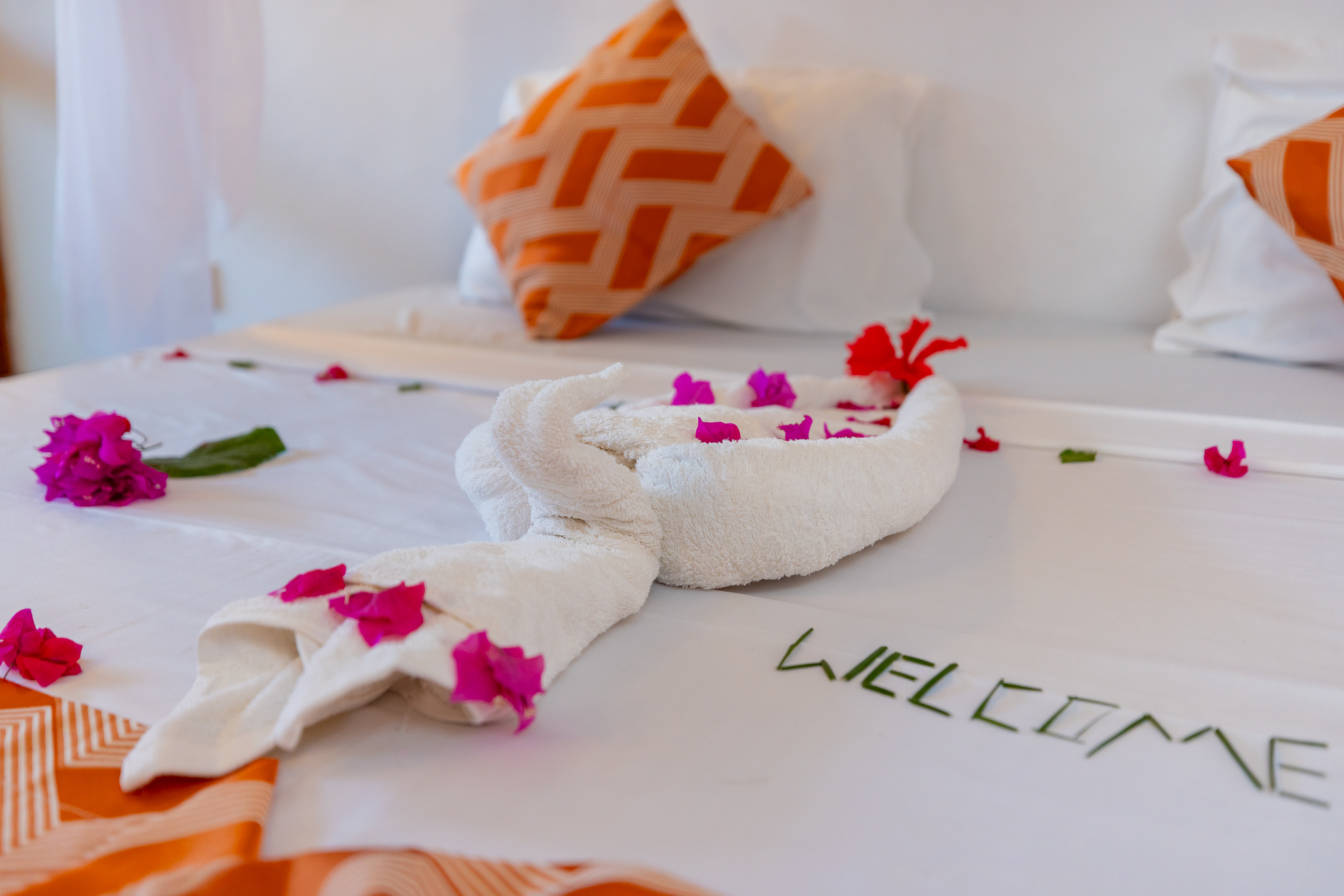 One-Bedroom Beachfront Suite photo 2